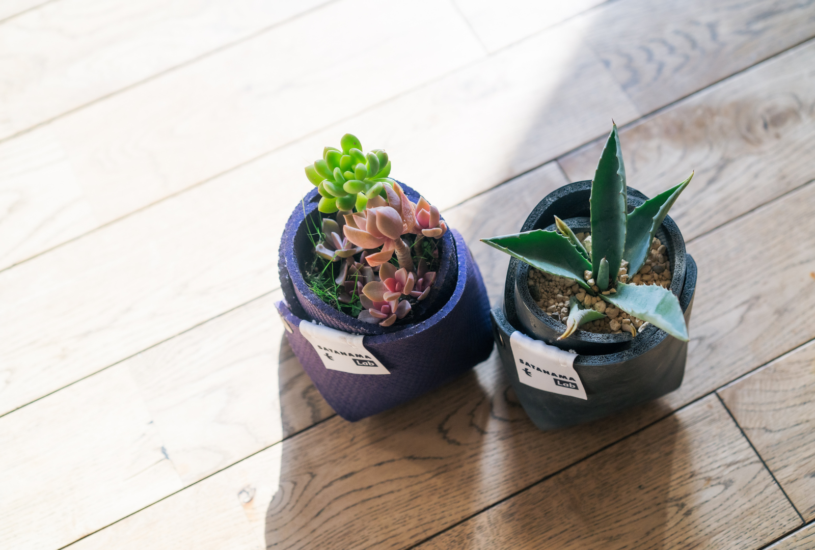 ヨガマットできた植木鉢、実際どうなの？プラスチック製植木鉢と比較してみました