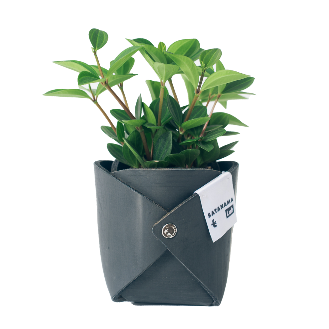 MULTI POT - 02
